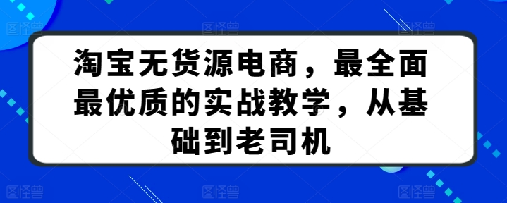 淘宝无货源电商，最全面最优质的实战教学，从基础到老司机-沐风资源库