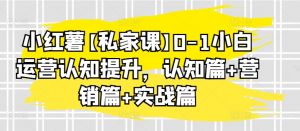 小红薯【私家课】0-1小白运营认知提升，认知篇+营销篇+实战篇-沐风资源库