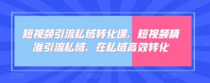 短视频引流私域转化课，短视频精准引流私域，在私域高效转化-沐风资源库