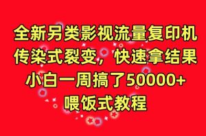 全新另类影视流量复印机，传染式裂变，快速拿结果，小白一周搞了50000+，喂饭式教程【揭秘】-沐风资源库