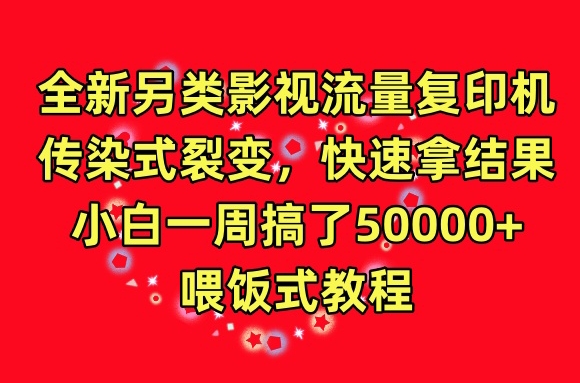 全新另类影视流量复印机，传染式裂变，快速拿结果，小白一周搞了50000+，喂饭式教程【揭秘】-沐风资源库