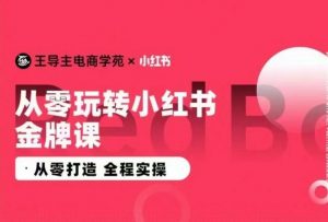 王导主·小红书电商运营实操课,从零打造 全程实操-沐风资源库