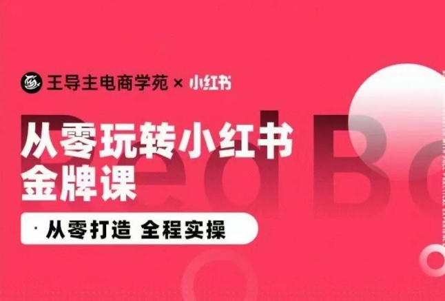王导主·小红书电商运营实操课,从零打造 全程实操-沐风资源库