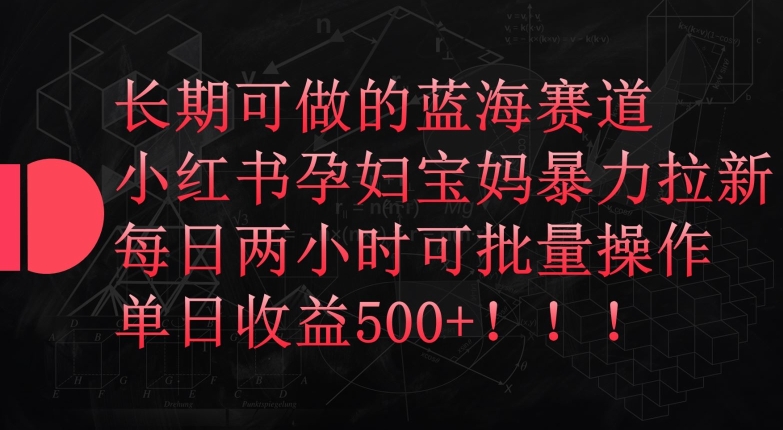 长期可做的蓝海赛道，小红书孕妇宝妈暴力拉新玩法，每日两小时可批量操作，单日收益500+【揭秘】-沐风资源库