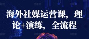 海外社媒运营课，理论+演练，全流程-沐风资源库