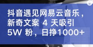 抖音遇见网易云音乐，新奇文案 4 天吸引 5W 粉，日挣1000+【揭秘】-沐风资源库