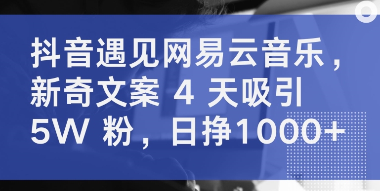 抖音遇见网易云音乐，新奇文案 4 天吸引 5W 粉，日挣1000+【揭秘】-沐风资源库