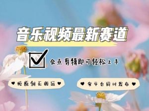 音乐视频赛道最新玩法，纯原创不违规，可所有平台同时发布，会点剪辑即可轻松拿捏【揭秘】-沐风资源库