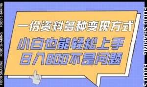 一份资料多种变现方式，小白也能轻松上手，日入800不是问题【揭秘】-沐风资源库