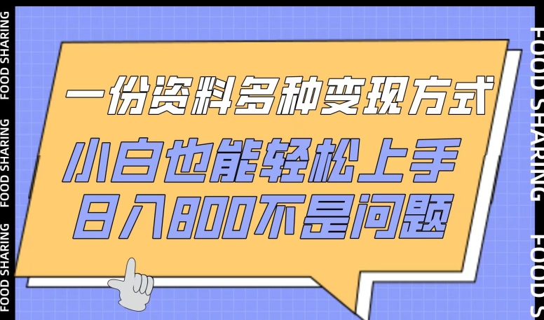 一份资料多种变现方式，小白也能轻松上手，日入800不是问题【揭秘】-沐风资源库