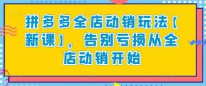 拼多多全店动销玩法【新课】，告别亏损从全店动销开始-沐风资源库