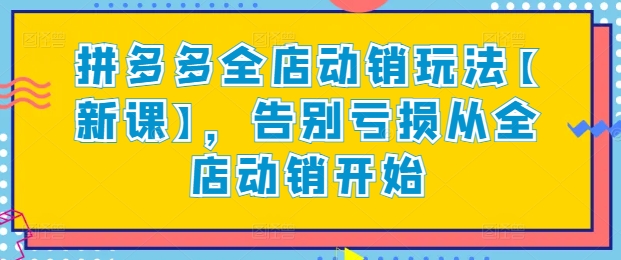 拼多多全店动销玩法【新课】，告别亏损从全店动销开始-沐风资源库