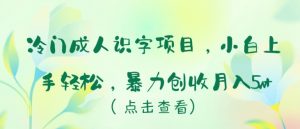冷门成人识字项目，小白上手轻松，暴力创收月入5w+【揭秘】-沐风资源库