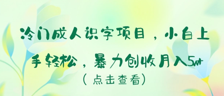 冷门成人识字项目，小白上手轻松，暴力创收月入5w+【揭秘】-沐风资源库