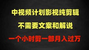 中视频计划影视纯剪辑，不需要文案和解说，一个小时剪一部，100%过原创月入过万【揭秘】-沐风资源库