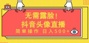无需露脸，Ai头像直播项目，简单操作日入500+【揭秘】-沐风资源库