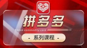 2024拼多多系列课，【基础】【运营】【活动】【推广】【玩法】5大模块-沐风资源库