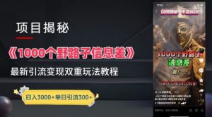 一千个野路子信息差最新玩法教程-变现+引流的玩法具体拆解【揭秘】-沐风资源库