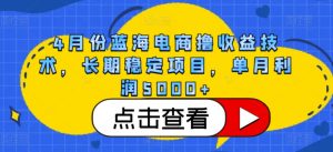 4月份蓝海电商撸收益技术，长期稳定项目，单月利润5000+【揭秘】-沐风资源库