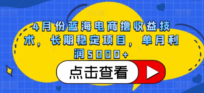 4月份蓝海电商撸收益技术，长期稳定项目，单月利润5000+【揭秘】-沐风资源库