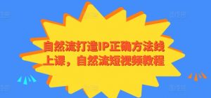 自然流打造IP正确方法线上课，自然流短视频教程-沐风资源库