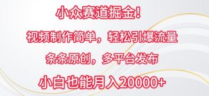 小众赛道掘金，视频制作简单，轻松引爆流量，条条原创，多平台发布【揭秘】-沐风资源库