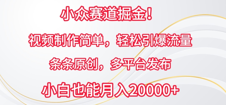 小众赛道掘金，视频制作简单，轻松引爆流量，条条原创，多平台发布【揭秘】-沐风资源库