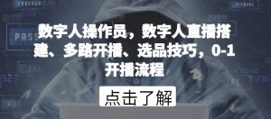 数字人操作员，数字人直播搭建、多路开播、选品技巧，0-1开播流程-沐风资源库