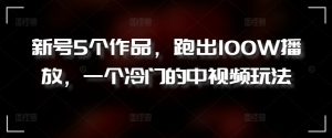 新号5个作品，跑出100W播放，一个冷门的中视频玩法【揭秘】-沐风资源库