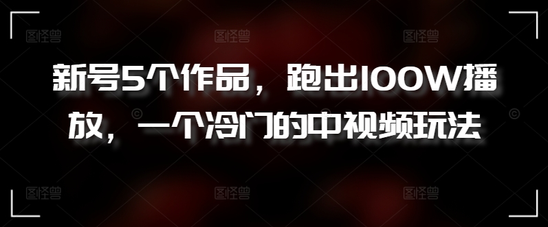 新号5个作品，跑出100W播放，一个冷门的中视频玩法【揭秘】-沐风资源库