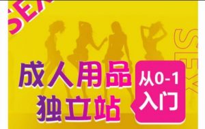 成人用品独立站从0-1入门，成品独立站运营全流程教学，七大好卖成品独立站推荐-沐风资源库
