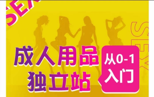 成人用品独立站从0-1入门，成品独立站运营全流程教学，七大好卖成品独立站推荐-沐风资源库