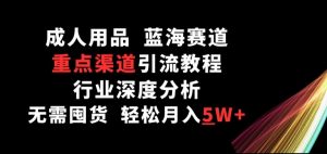 成人用品，蓝海赛道，重点渠道引流教程，行业深度分析，无需囤货，轻松月入5W+【揭秘】-沐风资源库