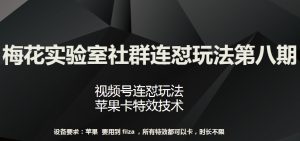 梅花实验室社群连怼玩法第八期，视频号连怼玩法 苹果卡特效技术【揭秘】-沐风资源库
