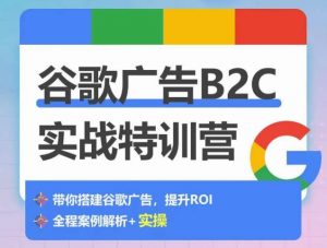 谷歌广告B2C实战特训营，500+谷歌账户总结经验，实战演示如何从0-1搭建广告账户-沐风资源库