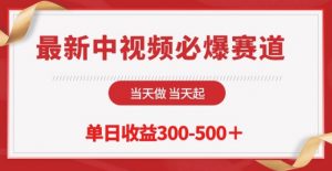 最新中视频必爆赛道，当天做当天起，单日收益300-500+【揭秘】-沐风资源库