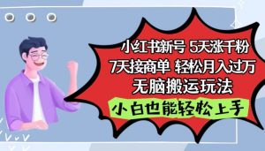 小红书影视泥巴追剧5天涨千粉，7天接商单，轻松月入过万，无脑搬运玩法【揭秘】-沐风资源库