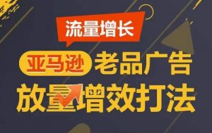 流量增长 亚马逊老品广告放量增效打法，短期内广告销量翻倍-沐风资源库