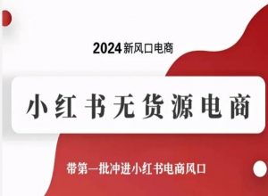 2024新风口电商，小红书无货源电商，带第一批冲进小红书电商风口-沐风资源库