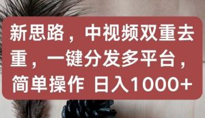 新思路，中视频双重去重，一键分发多平台，简单操作，日入1000+【揭秘】-沐风资源库