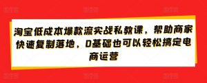 淘宝低成本爆款流实战私教课，帮助商家快速复制落地，0基础也可以轻松搞定电商运营-沐风资源库