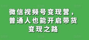 微信视频号变现营，普通人也能开启带货变现之路-沐风资源库