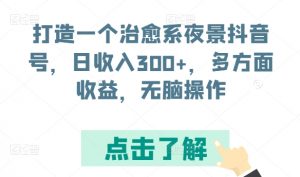 打造一个治愈系夜景抖音号，日收入300+，多方面收益，无脑操作【揭秘】-沐风资源库