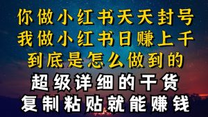 都知道小红书能引流私域变现，可为什么我能一天引流几十人变现上千，但你却频频封号违规被限流【揭秘】-沐风资源库