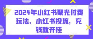 2024年小红书聚光付费玩法，小红书投流，充钱就开挂-沐风资源库