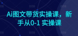 Ai图文带货实操课，新手从0-1 实操课-沐风资源库