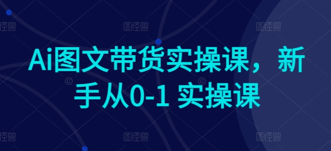Ai图文带货实操课，新手从0-1 实操课-沐风资源库