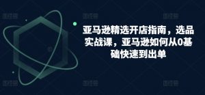 亚马逊精选开店指南，选品实战课，亚马逊如何从0基础快速到出单-沐风资源库