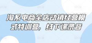 淘系电商全店动销经营模式特训营，线下课录音-沐风资源库