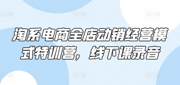 淘系电商全店动销经营模式特训营，线下课录音-沐风资源库